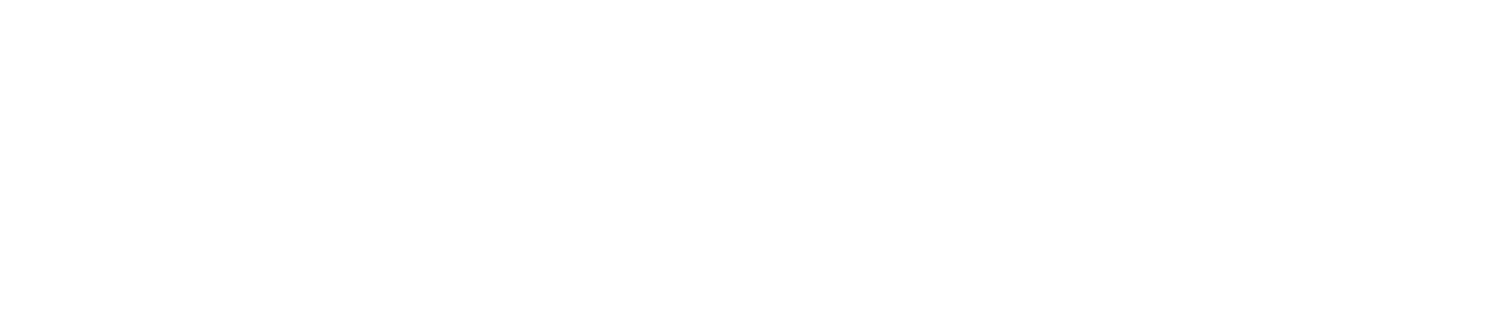 Han Sein Thant Company